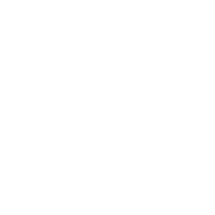Partner school logo